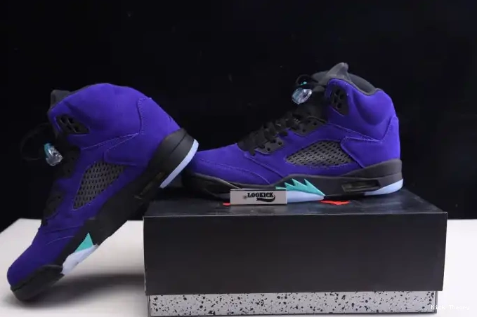 Kicktheory Retro Grape 5 136027-500 Alternate Air Jordan 0618